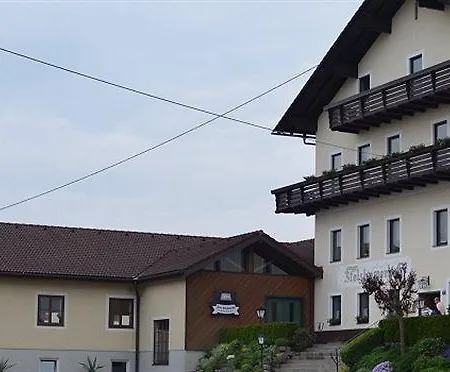 Hotel Franz Stelzhamerhof 3*