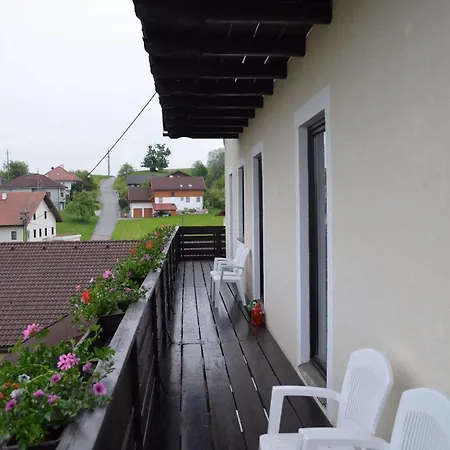Hotel Franz Stelzhamerhof 3*
